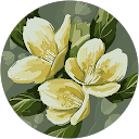 Helena Lawson profile picture
